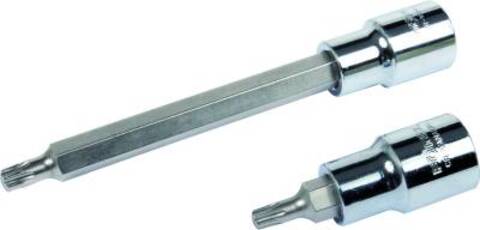 Pipe Torx  1/2"  T50 . 