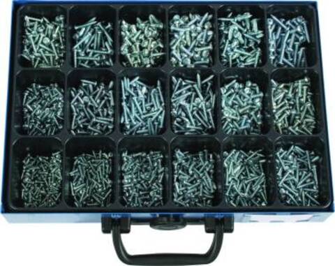 Plateskrue Panhode DIN 7981C 2,9x9,5 - 4,8x25  (1700) 