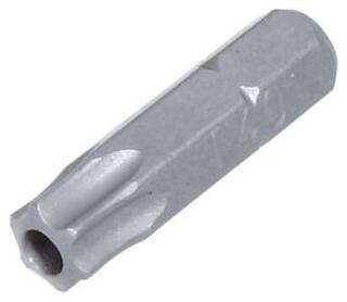 Bits 1/4&quot; Torx m/Hull TX40 .
